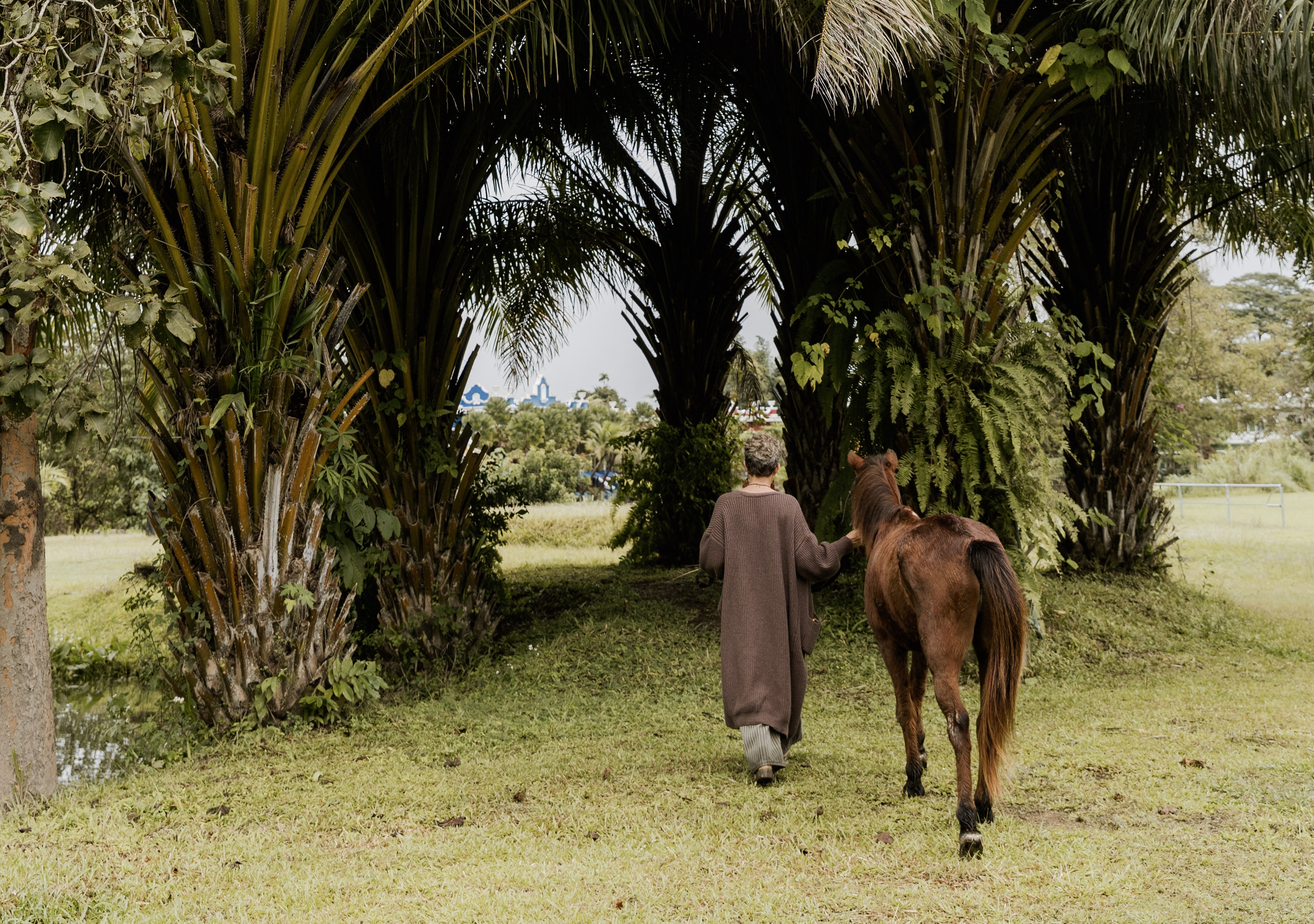 contact closing image